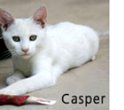 casper