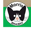 morris for mayor