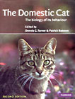 The Domestic Cat