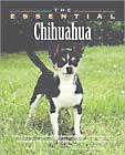 The Essential Chihuahua