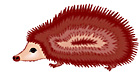hedgehog profile