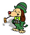 irish dog