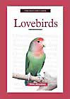 A New Owner's Guide to Lovebirds