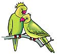 lovebirds