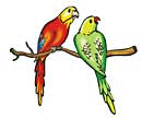 parakeets on a branch