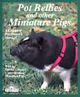 Pot Bellies and other Miniature Pigs