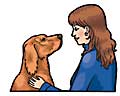 irish setter