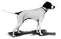 pointer